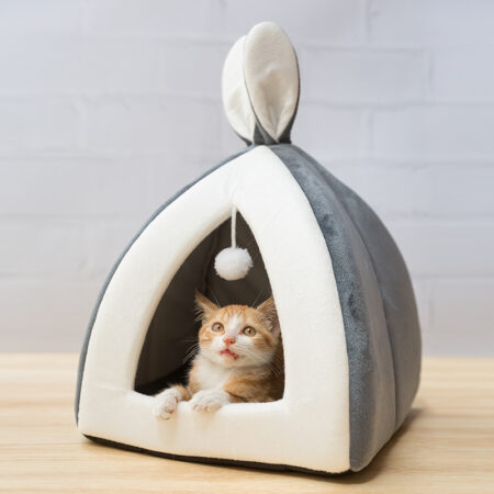 Cat House Villa
