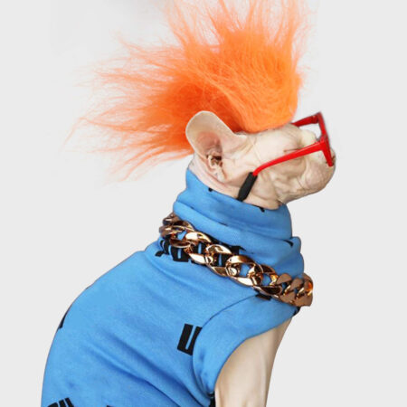 Dog Head Wear Apparel Toy