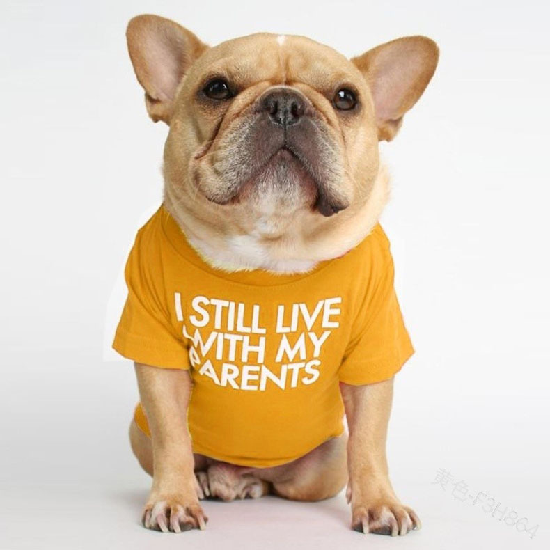 Pet Dog Letter T-shirt - Image 9